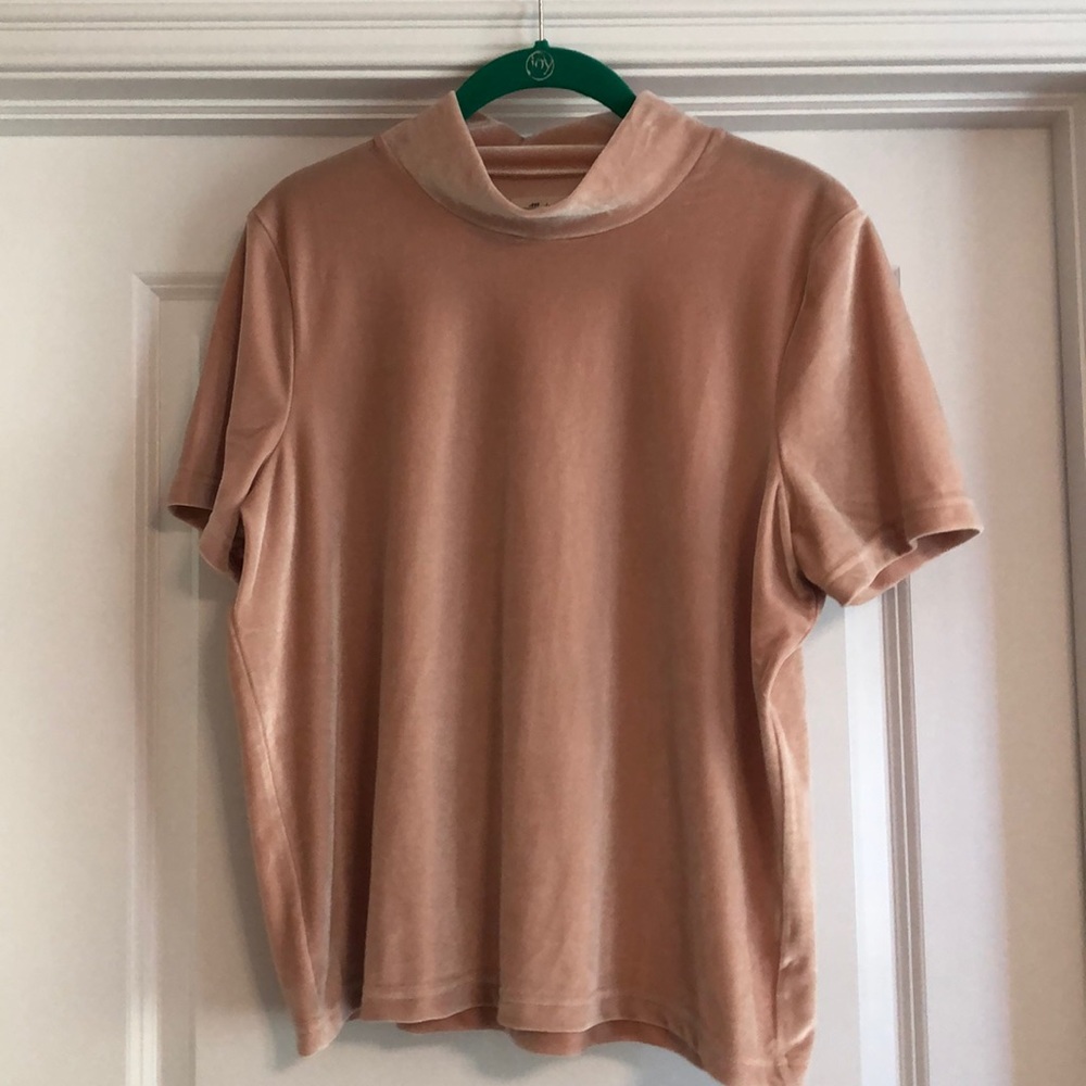 Madewell Blush Velvet Mock Neck Shirt